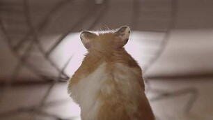 Die stille Revolution - Der Kinofilm zum Kulturwandel in der Arbeitswelt
