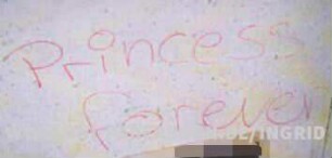 Princess forever