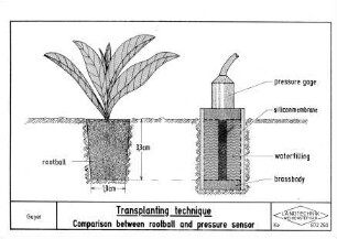 Transplanting technique, Comparison between tootball and pressure sensor