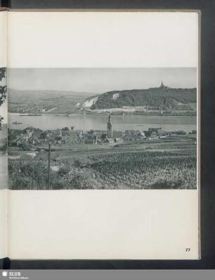 Blick von Rüdesheim zum Rochusberg