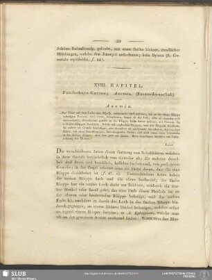 XVIII. Kapitel. Funfzehnte Gattung. Anomia. (Bastardmuschel)