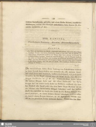 XVIII. Kapitel. Funfzehnte Gattung. Anomia. (Bastardmuschel)