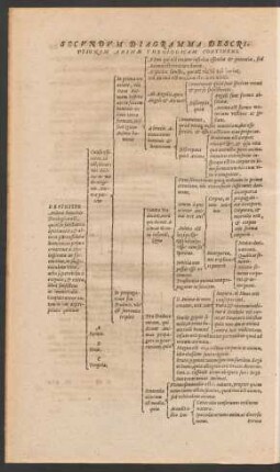 Secundum Diagramma Descriptionem Animae Theologicam Continens.