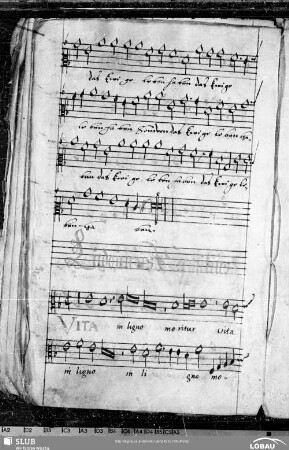 5 Ludwig Senfl: Vita in ligno moritur