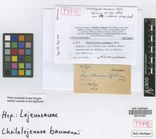 Cheilolejeunea baumannii Hürl. [isotype]