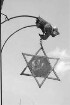 Michelstadt: Aushängeschild; Davidstern