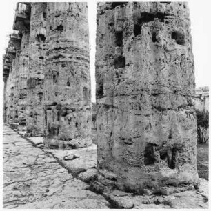 Hera-Tempel in Paestum (Italien)