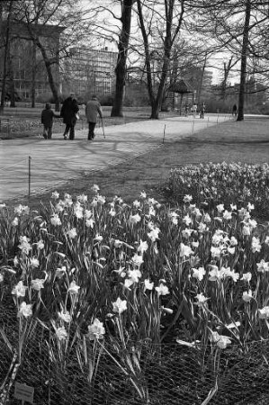 Frühlingstag im Stadtgarten