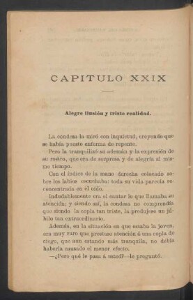 Capítulo XXIX - Alegre ilusión y triste realidad.