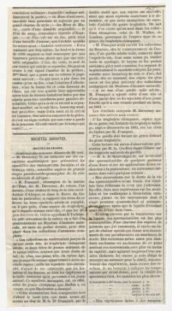 Institut de France. Académie des sciences. Séance du 30 mai. M. Duvernoy lit un mémoire sur les caractéres anatomiques que présent les squelettes des Troglodytes Tschégo et du Gorilla Gina