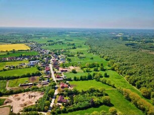 Nienwohld: Luftbild in Richtung Westen: rechts Nienwohlder Moor, links blühendes Rapsfeld