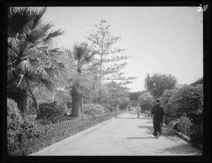 Valletta (Malta): Upper Barrakka Gardens (?)