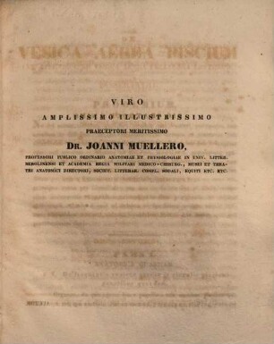 Borodin, Johann