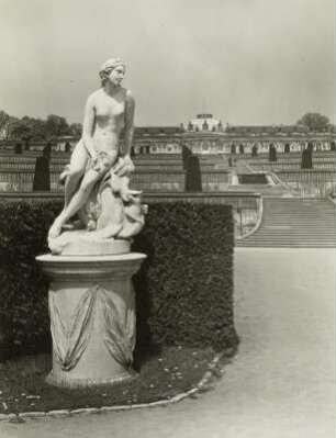 Venus