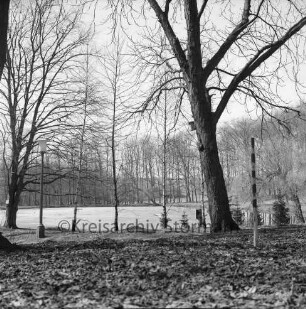 Kurpark: vorn Weg, Straßenlampe, Bäume: hinten Salzteich