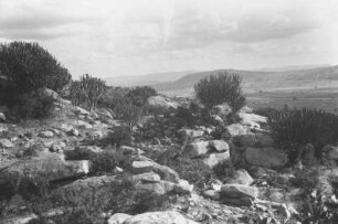 Landschaft bei Kondoa : Landschaft mit Trockenvegetation bei Kondoa