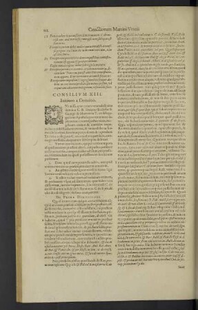 Consilium XIII.