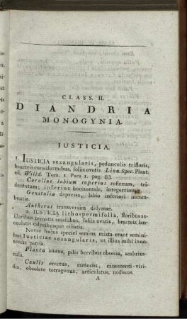 Class. II Diandria Monogynia. [bis] Class. XXL Monoecia Symphyantherae.