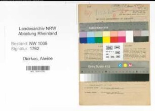 Entnazifizierung Alwine Dierkes , geb. 06.08.1897 (Landwirtin)