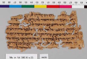 23: Mishneh Torah : Fragment