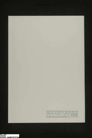 Vermögen des Georg Mathes und seiner verstorbenen Ehefrau Philippina, geb. Ackermann
