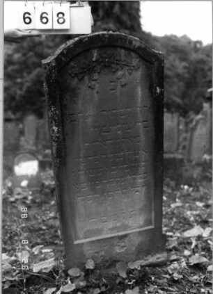 Grabstein 668 (Index: 100099713) Maße HxBxT: 125x55x16 cm Symbolik: Efeu: Grabstein 668