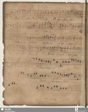 Anonymus: Salve regina