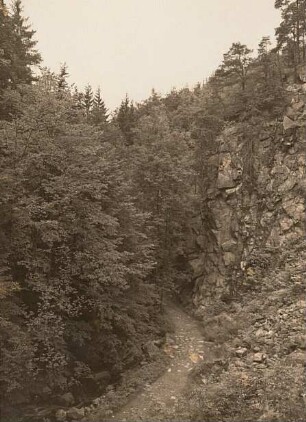Rochsburg: Brausetal, Felsriff