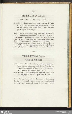 Terebratula platyloba. Tab. CCCCXCVI. - figs. 5 and 6