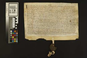 Mainz (Karmeliter): Privilegia diversa indulta fratribus Carmelit. a diversis pontificalibus (Bonifaz VIII. 1295, 1297, Urban IV. 1262, Clemens IV...