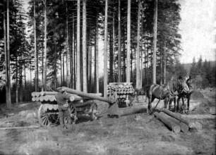 Beladen des Holzfuhrwerks : Waldarbeiter bei der Klötzerabfuhr im Steinbacher Wald