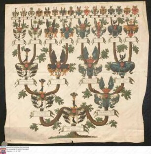 Ahnenprobe des Philipp Christian Wilhelm v. Pappenheim. - ausgefertigt 1752 Mai 31, Pergament