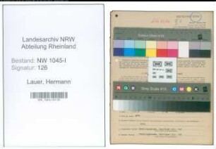 Entnazifizierung Hermann Lauer , geb. 01.03.1913 (Angestellter)