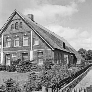 Bauernhaus mit Reetdach: davor Vorgarten mit Rasen, Tannen und Jägerzaun