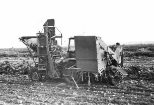 Fendt GT als selbstfahrender Rübenernter