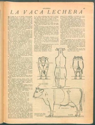 La vaca lechera