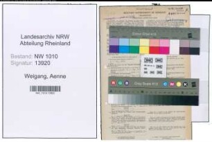 Entnazifizierung Aenne Weigang , geb. 27.09.1901 (Verw.Angestellte)