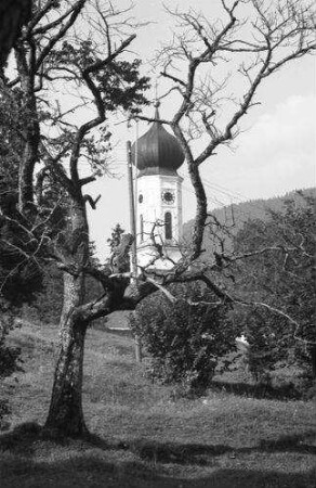 Jachenau: Kirchturm zwischen kahlen Ästen