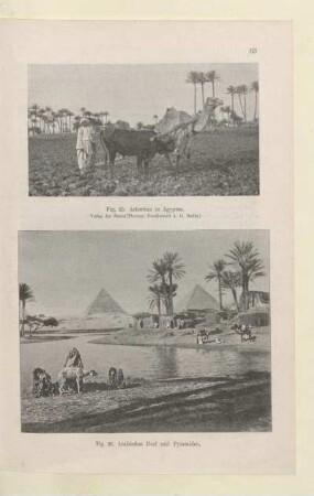 [Fig. 25.-26 Ackerbau in Ägypten und Arabisches Dorf und Pyramiden]