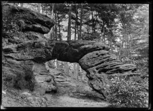 Pfälzerwald, Felsa8480ion
