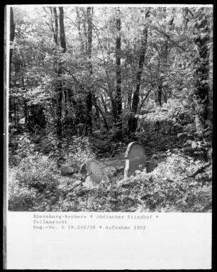 Jüdischer Friedhof