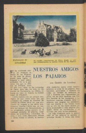 Nuestros amigos, los pájaros : Estampas de actualidad