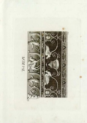 Tab. XLVI.