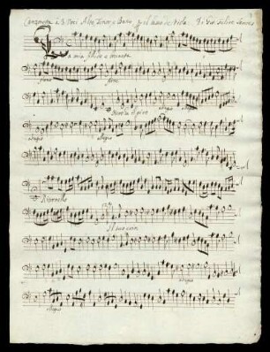per il basso de Viola