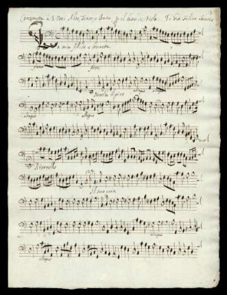 per il basso de Viola
