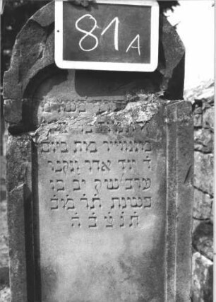 Grabstein 81 (Index: 100114072) Material: Sandstein Zustand: beschädigt, abgeblättert, gebrochen und repariert mit Textverlust Maße HxBxT: 140x48x20 cm Beschreibung: Stele, getreppter Sockel, Rundbogenabschluß, Schriftfeld mit Kleeblattbogenabschluß: Grabstein 81A