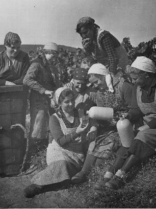 Weinlese in der Rheinpfalz. Frauen während einer Pause. Sie trinken Wein