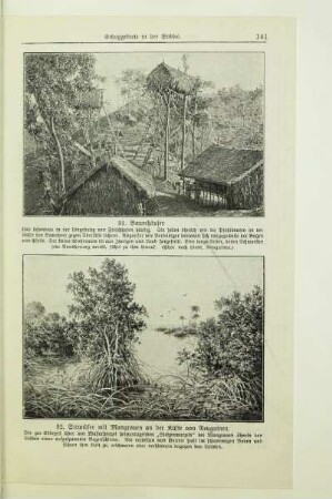 Strandsee mit Mangroven an der Küste von Neuguinea