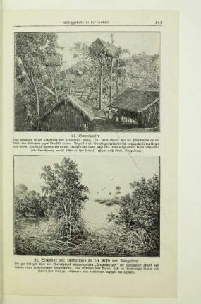 Strandsee mit Mangroven an der Küste von Neuguinea