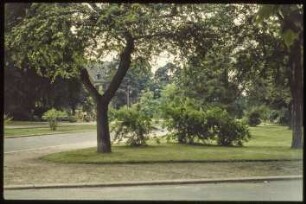 Blick auf den Johannaplatz